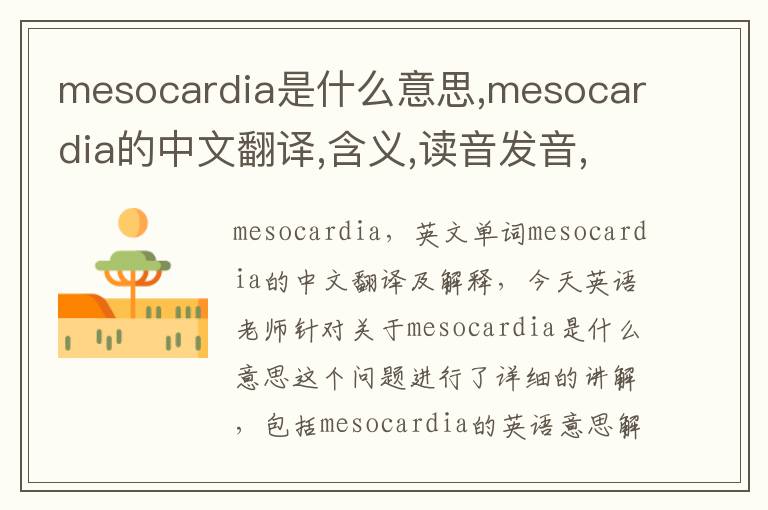 mesocardia是什么意思,mesocardia的中文翻译,含义,读音发音,用法,造句,参考例句