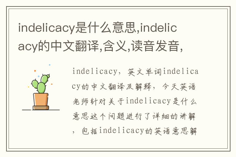 indelicacy是什么意思,indelicacy的中文翻译,含义,读音发音,用法,造句,参考例句