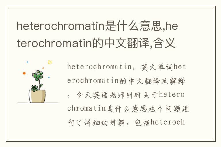 heterochromatin是什么意思,heterochromatin的中文翻译,含义,读音发音,用法,造句,参考例句