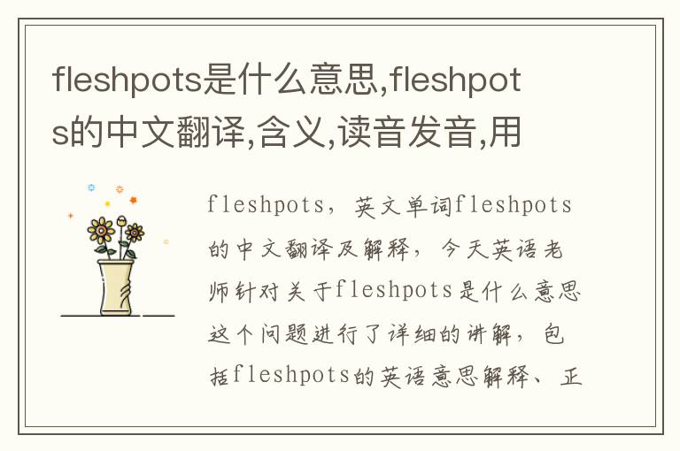 fleshpots是什么意思,fleshpots的中文翻译,含义,读音发音,用法,造句,参考例句