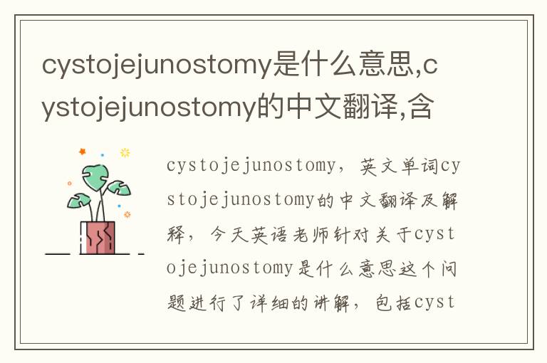 cystojejunostomy是什么意思,cystojejunostomy的中文翻译,含义,读音发音,用法,造句,参考例句