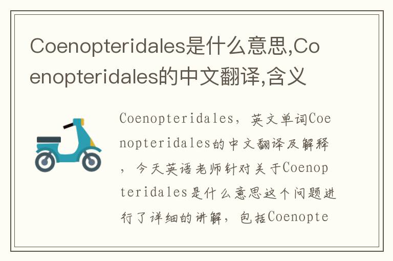 Coenopteridales是什么意思,Coenopteridales的中文翻译,含义,读音发音,用法,造句,参考例句