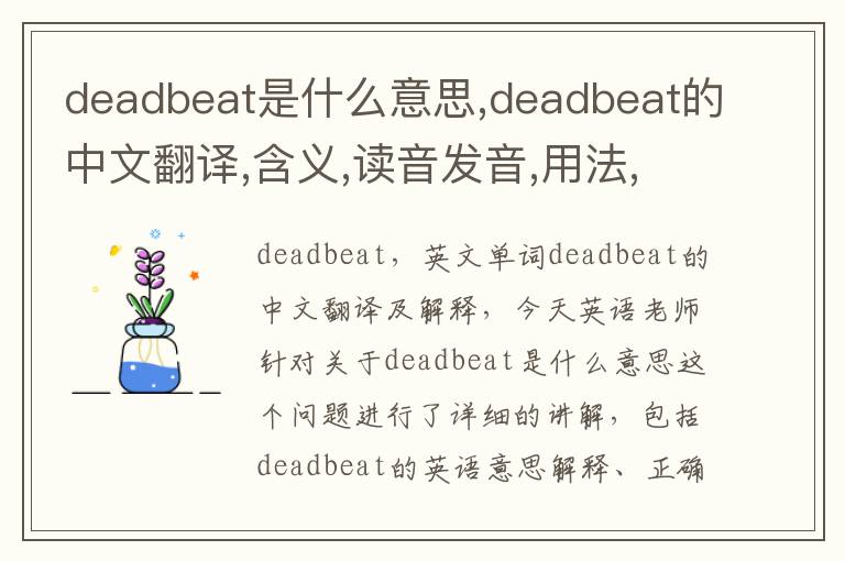 deadbeat是什么意思,deadbeat的中文翻译,含义,读音发音,用法,造句,参考例句