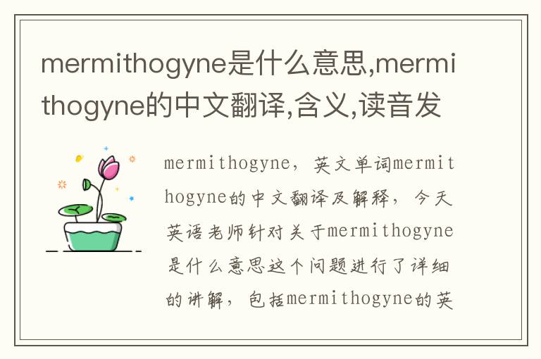 mermithogyne是什么意思,mermithogyne的中文翻译,含义,读音发音,用法,造句,参考例句