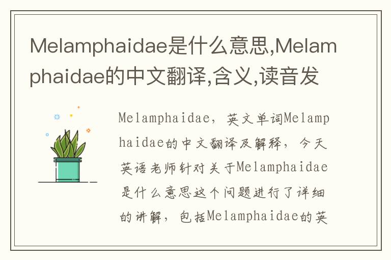 Melamphaidae是什么意思,Melamphaidae的中文翻译,含义,读音发音,用法,造句,参考例句