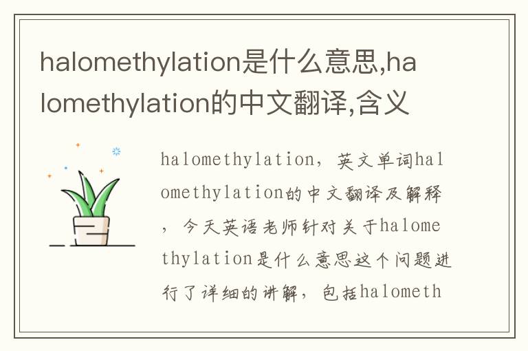 halomethylation是什么意思,halomethylation的中文翻译,含义,读音发音,用法,造句,参考例句