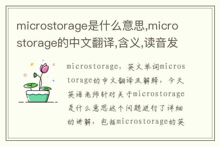 microstorage是什么意思,microstorage的中文翻译,含义,读音发音,用法,造句,参考例句