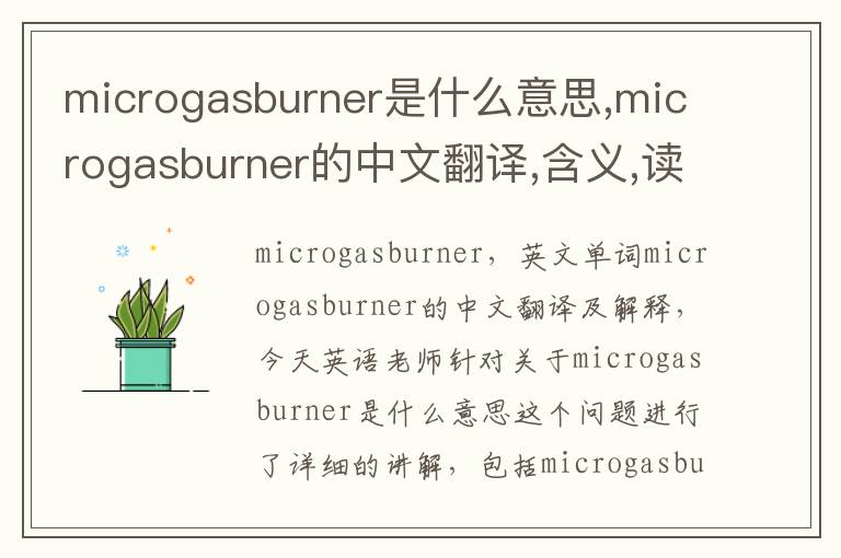 microgasburner是什么意思,microgasburner的中文翻译,含义,读音发音,用法,造句,参考例句