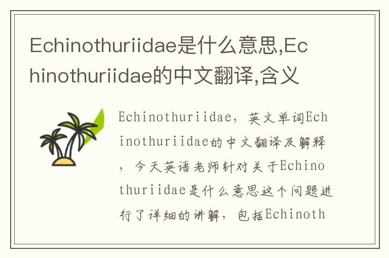 Echinothuriidae是什么意思,Echinothuriidae的中文翻译,含义,读音发音,用法,造句,参考例句