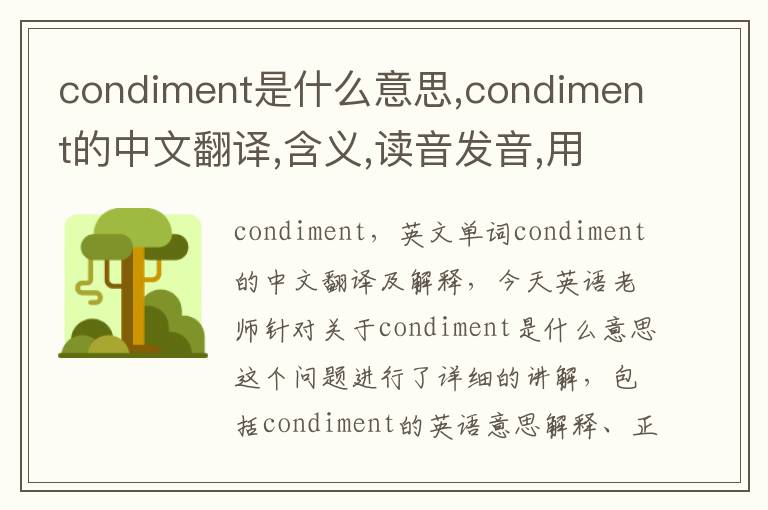 condiment是什么意思,condiment的中文翻译,含义,读音发音,用法,造句,参考例句