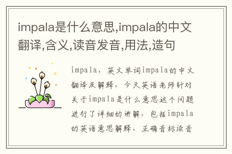 impala是什么意思,impala的中文翻译,含义,读音发音,用法,造句,参考例句