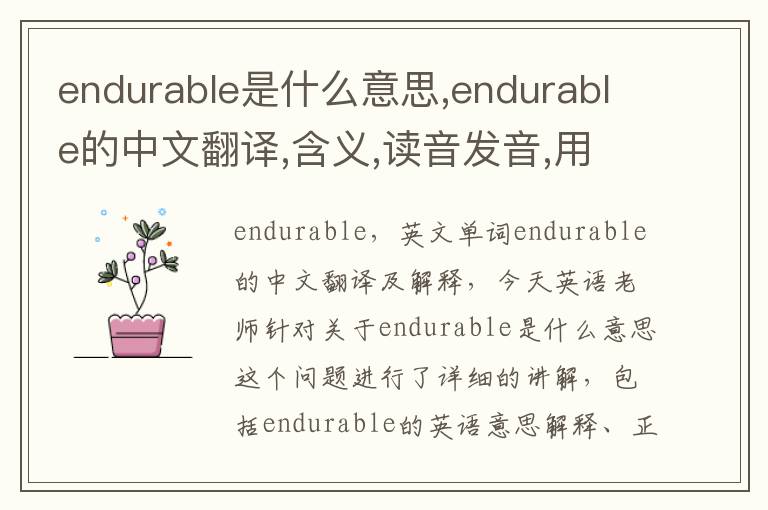 endurable是什么意思,endurable的中文翻译,含义,读音发音,用法,造句,参考例句