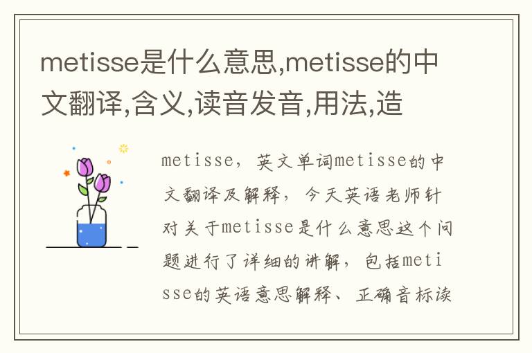 metisse是什么意思,metisse的中文翻译,含义,读音发音,用法,造句,参考例句