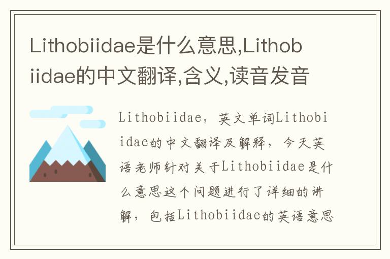 Lithobiidae是什么意思,Lithobiidae的中文翻译,含义,读音发音,用法,造句,参考例句