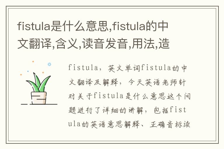 fistula是什么意思,fistula的中文翻译,含义,读音发音,用法,造句,参考例句