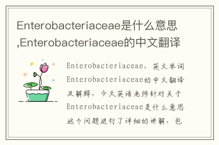 Enterobacteriaceae是什么意思,Enterobacteriaceae的中文翻译,含义,读音发音,用法,造句,参考例句