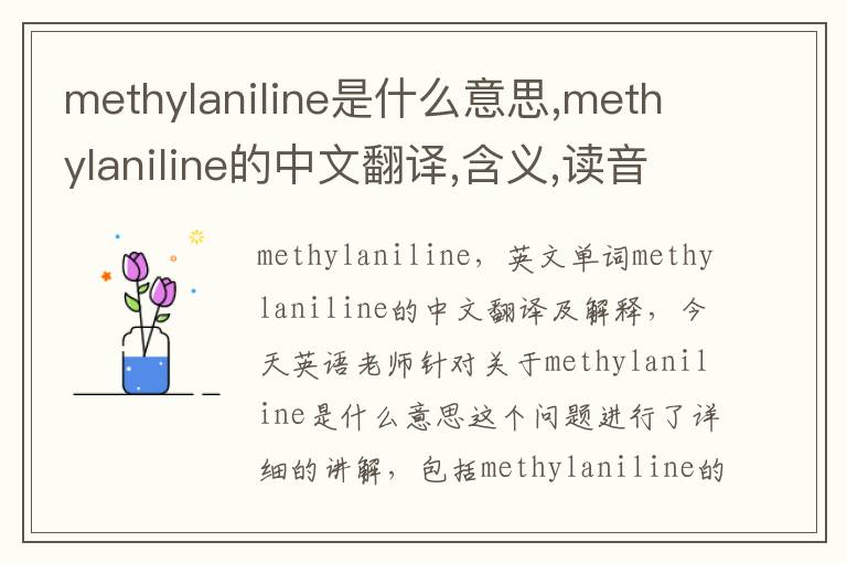 methylaniline是什么意思,methylaniline的中文翻译,含义,读音发音,用法,造句,参考例句