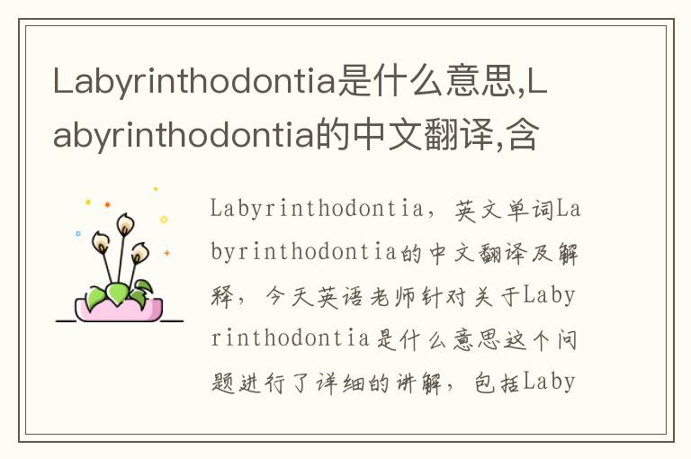 Labyrinthodontia是什么意思,Labyrinthodontia的中文翻译,含义,读音发音,用法,造句,参考例句