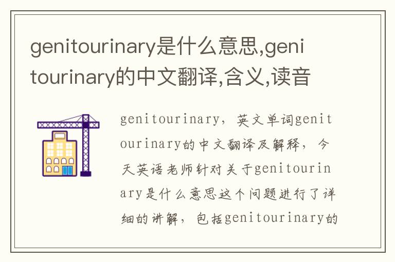 genitourinary是什么意思,genitourinary的中文翻译,含义,读音发音,用法,造句,参考例句