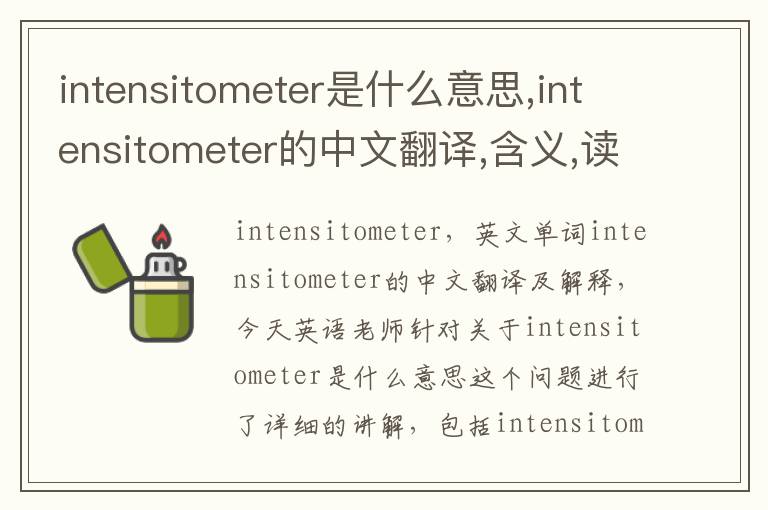 intensitometer是什么意思,intensitometer的中文翻译,含义,读音发音,用法,造句,参考例句