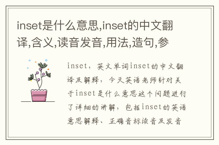 inset是什么意思,inset的中文翻译,含义,读音发音,用法,造句,参考例句