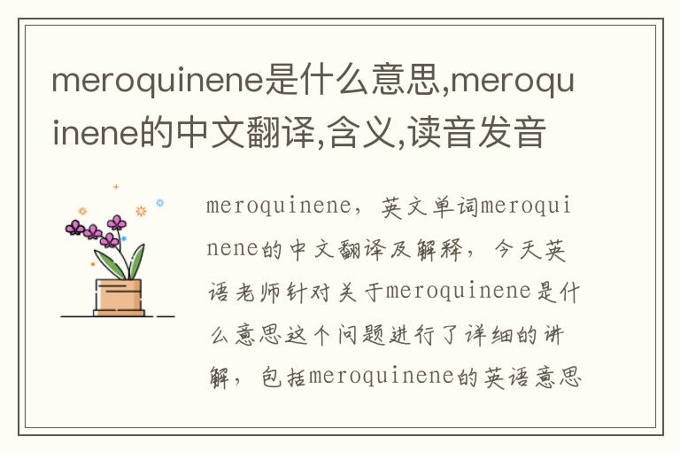 meroquinene是什么意思,meroquinene的中文翻译,含义,读音发音,用法,造句,参考例句