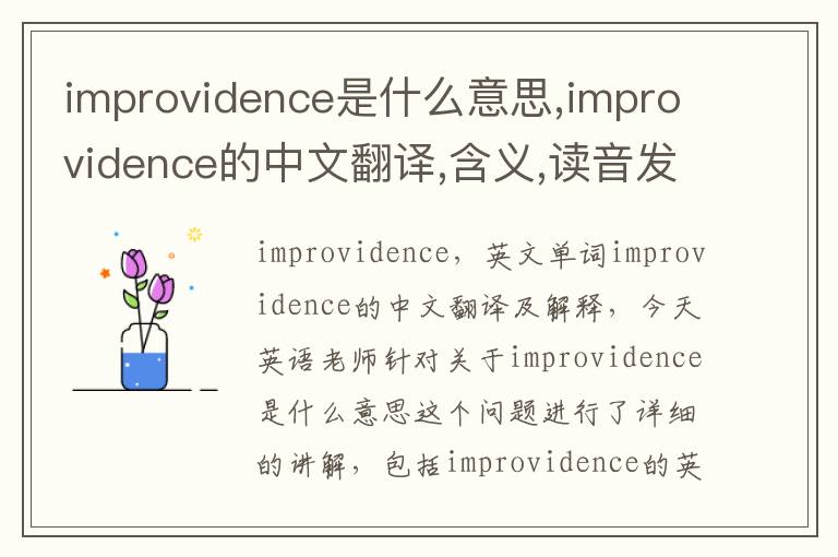 improvidence是什么意思,improvidence的中文翻译,含义,读音发音,用法,造句,参考例句