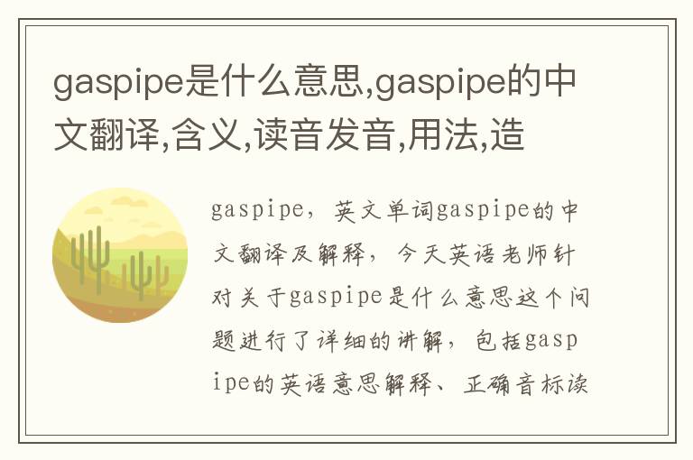 gaspipe是什么意思,gaspipe的中文翻译,含义,读音发音,用法,造句,参考例句