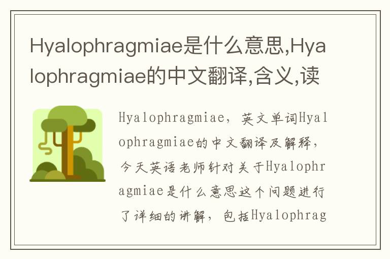 Hyalophragmiae是什么意思,Hyalophragmiae的中文翻译,含义,读音发音,用法,造句,参考例句