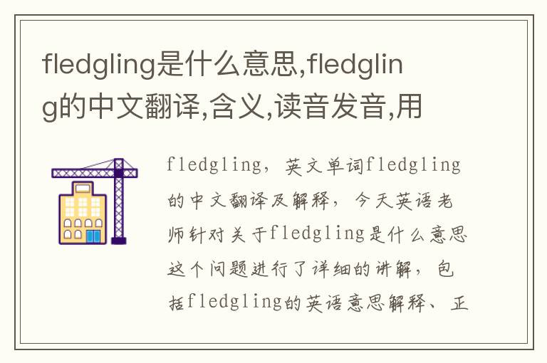 fledgling是什么意思,fledgling的中文翻译,含义,读音发音,用法,造句,参考例句