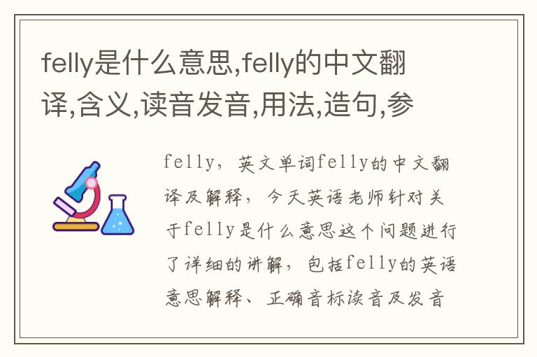 felly是什么意思,felly的中文翻译,含义,读音发音,用法,造句,参考例句