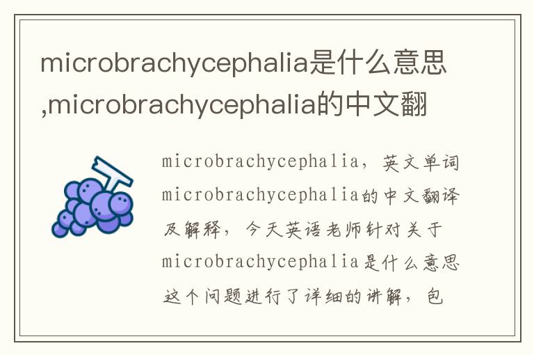 microbrachycephalia是什么意思,microbrachycephalia的中文翻译,含义,读音发音,用法,造句,参考例句