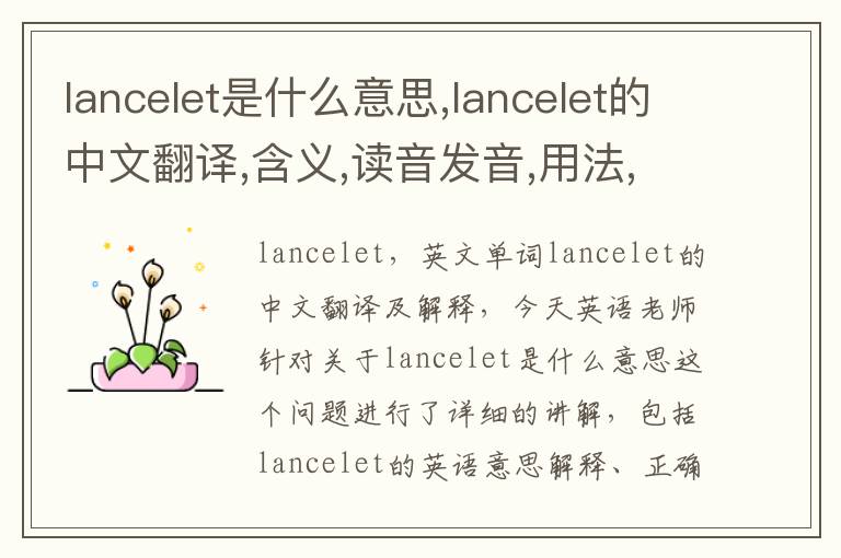 lancelet是什么意思,lancelet的中文翻译,含义,读音发音,用法,造句,参考例句