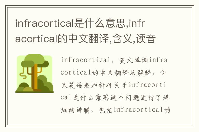 infracortical是什么意思,infracortical的中文翻译,含义,读音发音,用法,造句,参考例句