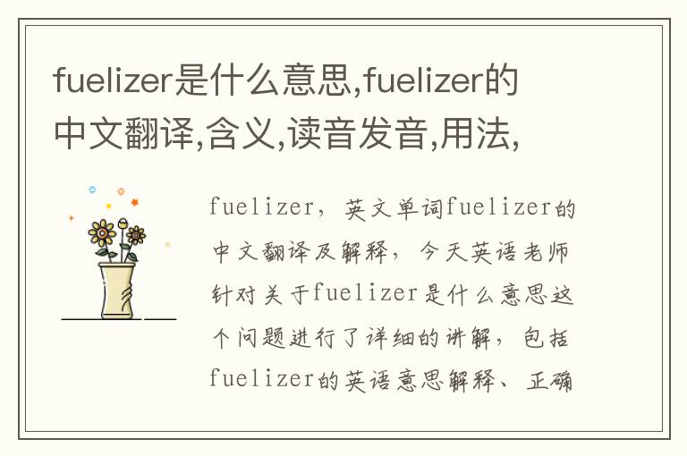 fuelizer是什么意思,fuelizer的中文翻译,含义,读音发音,用法,造句,参考例句