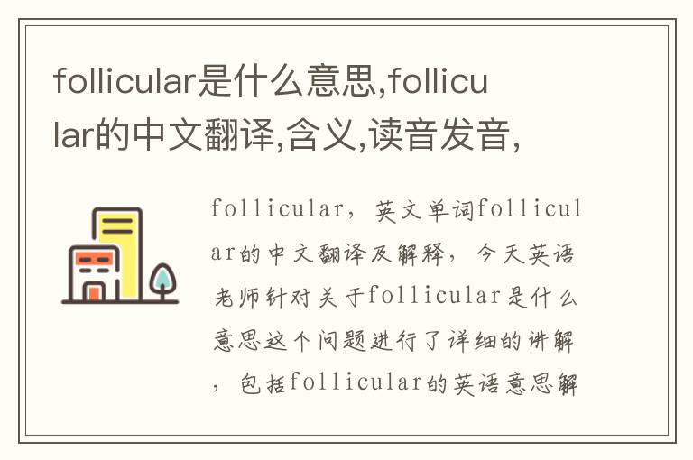 follicular是什么意思,follicular的中文翻译,含义,读音发音,用法,造句,参考例句