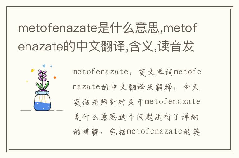 metofenazate是什么意思,metofenazate的中文翻译,含义,读音发音,用法,造句,参考例句