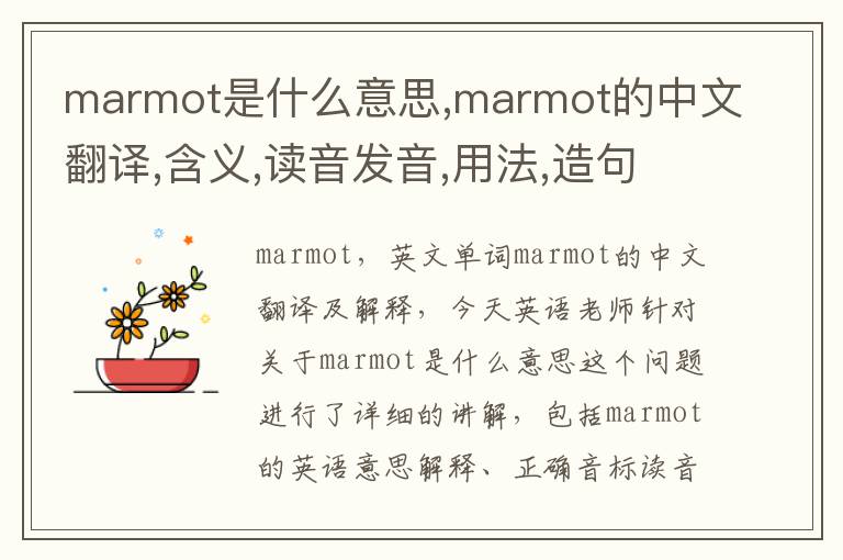 marmot是什么意思,marmot的中文翻译,含义,读音发音,用法,造句,参考例句