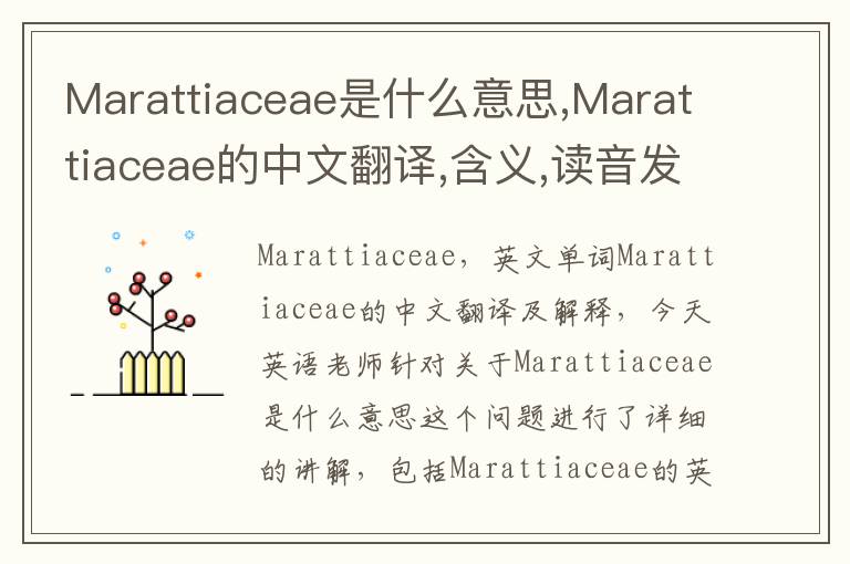 Marattiaceae是什么意思,Marattiaceae的中文翻译,含义,读音发音,用法,造句,参考例句