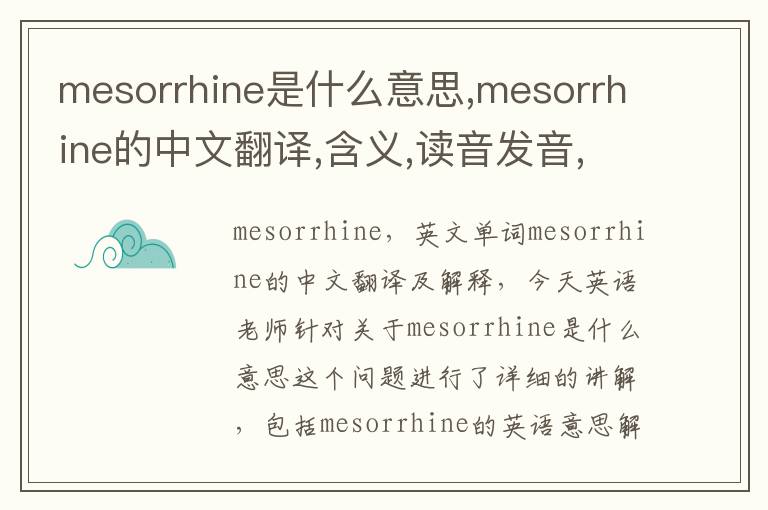 mesorrhine是什么意思,mesorrhine的中文翻译,含义,读音发音,用法,造句,参考例句