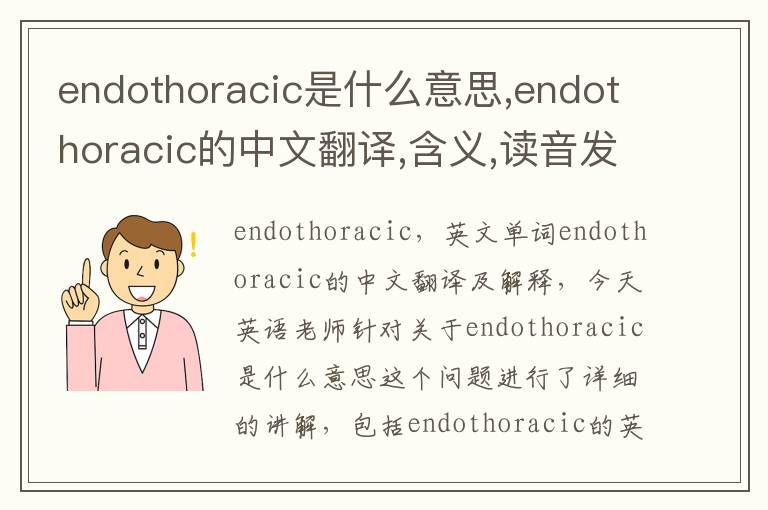 endothoracic是什么意思,endothoracic的中文翻译,含义,读音发音,用法,造句,参考例句