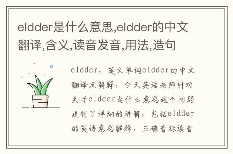 eldder是什么意思,eldder的中文翻译,含义,读音发音,用法,造句,参考例句