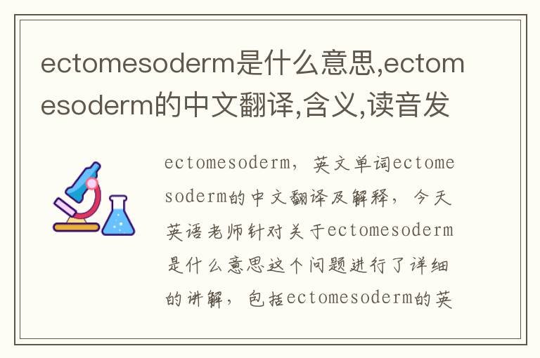 ectomesoderm是什么意思,ectomesoderm的中文翻译,含义,读音发音,用法,造句,参考例句