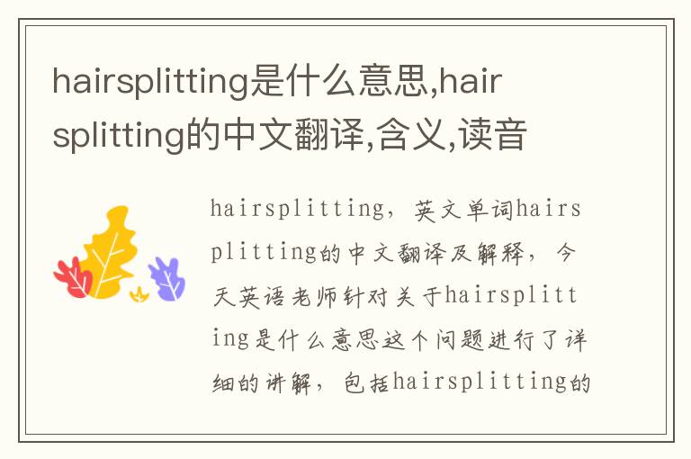 hairsplitting是什么意思,hairsplitting的中文翻译,含义,读音发音,用法,造句,参考例句