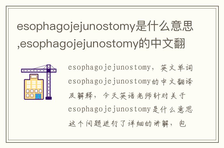 esophagojejunostomy是什么意思,esophagojejunostomy的中文翻译,含义,读音发音,用法,造句,参考例句