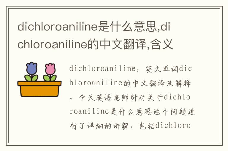 dichloroaniline是什么意思,dichloroaniline的中文翻译,含义,读音发音,用法,造句,参考例句