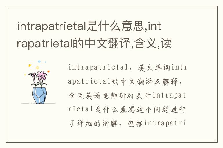 intrapatrietal是什么意思,intrapatrietal的中文翻译,含义,读音发音,用法,造句,参考例句