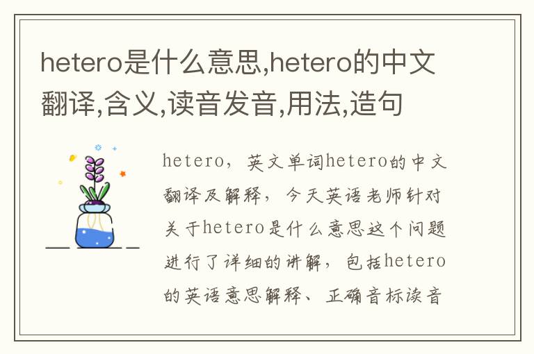 hetero是什么意思,hetero的中文翻译,含义,读音发音,用法,造句,参考例句