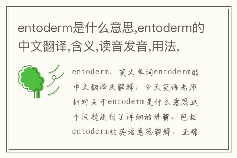 entoderm是什么意思,entoderm的中文翻译,含义,读音发音,用法,造句,参考例句