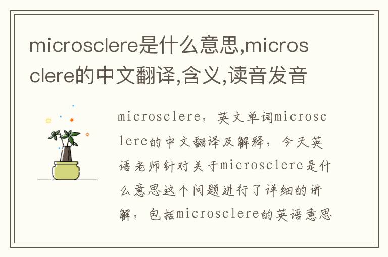 microsclere是什么意思,microsclere的中文翻译,含义,读音发音,用法,造句,参考例句